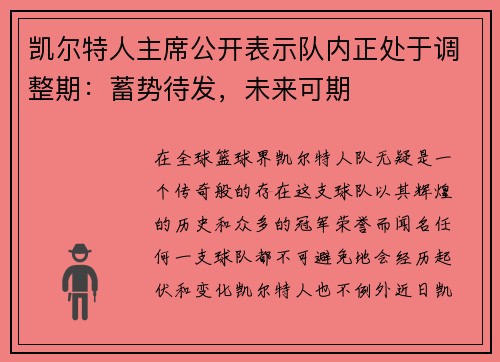 凯尔特人主席公开表示队内正处于调整期：蓄势待发，未来可期